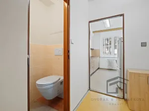 Prodej bytu 2+1, Praha - Vinohrady, Fričova, 55 m2