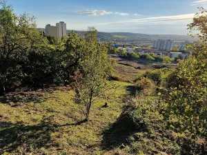Prodej pozemku pro bydlení, Brno, Travní, 1535 m2