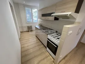Pronájem bytu 2+1, Plzeň - Lobzy, Pod Vrchem, 50 m2