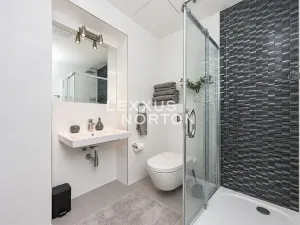 Pronájem bytu 2+kk, Praha - Žižkov, Ondříčkova, 48 m2