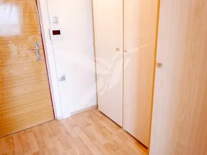 Pronájem bytu 1+kk, Plzeň, Toužimská, 31 m2