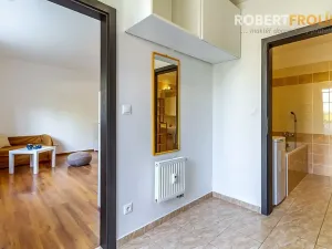Pronájem bytu 1+kk, Svémyslice, 30 m2