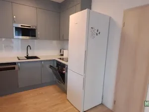 Pronájem bytu 2+1, Praha - Žižkov, Olšanská, 79 m2