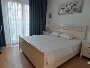 Pronájem bytu 2+1, Praha - Žižkov, Olšanská, 79 m2