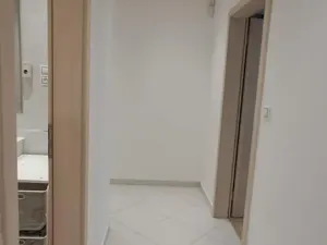 Pronájem bytu 2+1, Praha - Žižkov, Olšanská, 79 m2