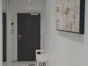 Pronájem bytu 2+1, Praha - Žižkov, Olšanská, 79 m2