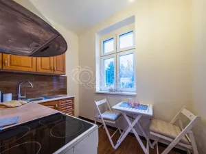 Pronájem bytu 1+1, Praha - Motol, Kudrnova, 29 m2