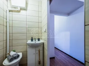 Pronájem bytu 1+1, Praha - Motol, Kudrnova, 29 m2