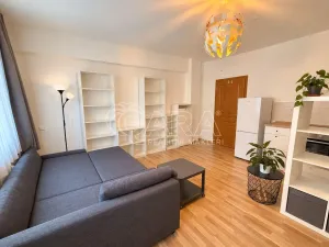 Pronájem bytu 1+kk, Praha - Žižkov, Dalimilova, 28 m2