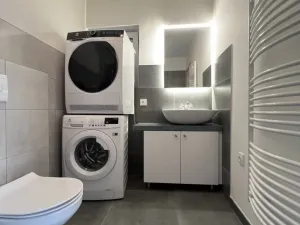Pronájem bytu 1+kk, Ostrava - Martinov, Kamenná, 33 m2