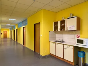 Pronájem kanceláře, Olomouc - Hejčín, Dolní hejčínská, 20 m2