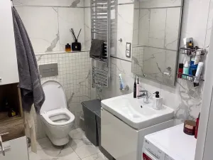 Prodej bytu 2+kk, Praha - Žižkov, Olšanská, 60 m2