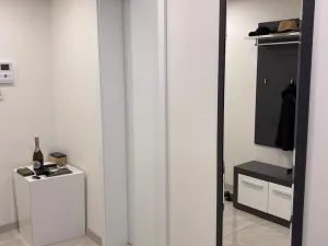 Prodej bytu 2+kk, Praha - Žižkov, Olšanská, 60 m2
