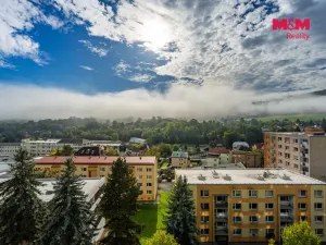 Prodej bytu 2+1, Jílové - Kamenná, Oblouková, 58 m2