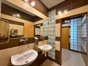 Pronájem kanceláře, Olomouc - Hejčín, Dolní hejčínská, 20 m2