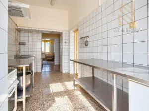 Prodej rodinného domu, Světec, Kostomlatská, 450 m2
