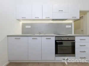 Pronájem bytu 1+1, Přerov - Přerov I-Město, Husova, 26 m2