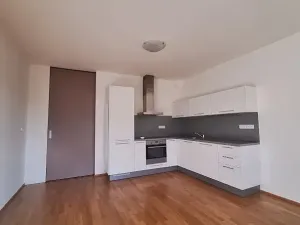 Pronájem bytu 2+kk, Praha - Smíchov, Fráni Šrámka, 43 m2