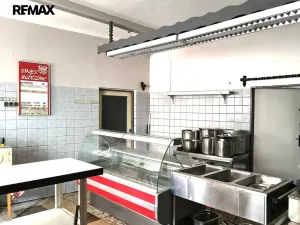 Prodej rodinného domu, Žatec, Masarykova, 289 m2