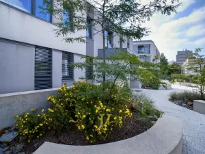 Pronájem bytu 3+kk, Olomouc - Lazce, Dlouhá, 89 m2