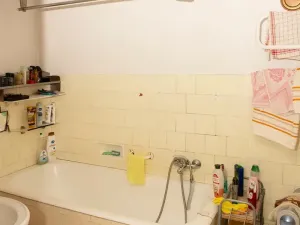 Prodej rodinného domu, Blížkovice, 125 m2