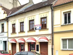 Prodej obchodního prostoru, Žatec, Masarykova, 289 m2