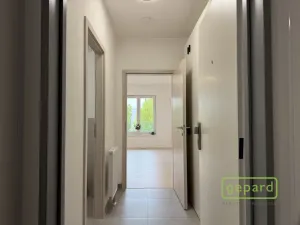 Pronájem bytu 1+kk, Mohelnice, Za Penzionem, 25 m2