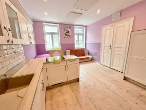 Prodej obchodního prostoru, Písek - Budějovické Předměstí, Tyršova, 330 m2