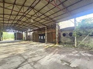 Prodej vily, Rybniště - Nová Chřibská, 1000 m2