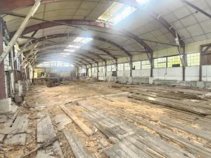 Prodej vily, Rybniště - Nová Chřibská, 1000 m2