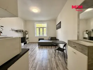 Pronájem bytu 1+kk, Ostrava - Přívoz, Mariánskohorská, 20 m2