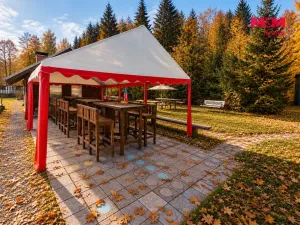 Prodej komerčního pozemku, Krucemburk - Staré Ransko, 21872 m2