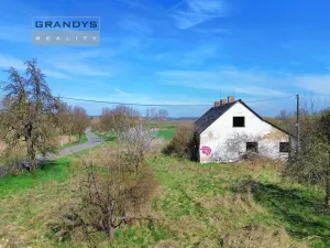 Prodej komerčního pozemku, Všestudy - Dušníky nad Vltavou, 42524 m2