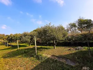 Prodej vinného sklepa, Mutěnice, 107 m2