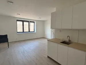 Pronájem bytu 2+kk, Klimkovice, Resnerova, 59 m2