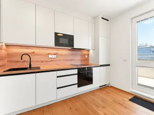 Pronájem bytu 1+kk, Praha - Břevnov, Pod Drinopolem, 41 m2