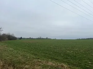 Prodej podílu pole, Neděliště, 722 m2