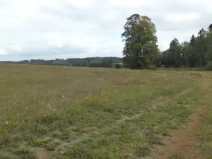Prodej pole, Tachov, 2776 m2