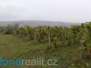 Prodej pozemku, Morkůvky, 4541 m2
