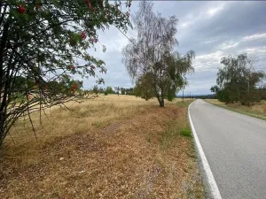 Prodej pozemku, Český Rudolec - Matějovec, 15087 m2