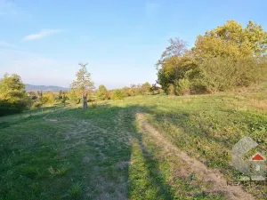 Prodej louky, Brno, Odlehlá, 595 m2