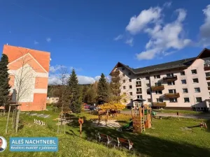 Prodej bytu 1+1, Jiřetín pod Bukovou, 41 m2
