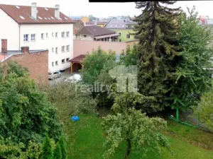 Pronájem bytu 1+1, Ostrava - Mariánské Hory, Přemyslovců, 55 m2