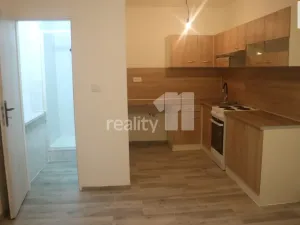 Pronájem bytu 1+1, Ostrava - Mariánské Hory, Přemyslovců, 55 m2