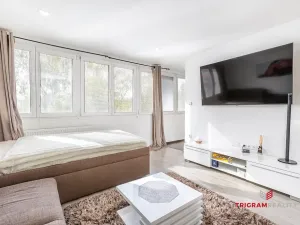 Prodej bytu 1+kk, Hradec Králové - Slezské Předměstí, Severní, 28 m2