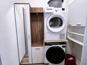 Pronájem bytu 1+kk, Plzeň, Pecháčkova, 42 m2
