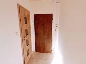 Pronájem bytu 1+kk, Ústí nad Labem - Ústí nad Labem-centrum, Stará, 20 m2