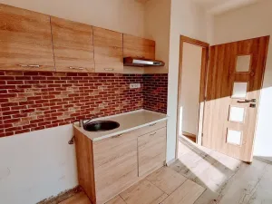 Pronájem bytu 1+kk, Ústí nad Labem - Ústí nad Labem-centrum, Stará, 20 m2