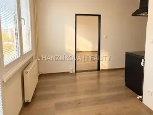 Pronájem bytu 2+1, České Budějovice - České Budějovice 2, J. Opletala, 72 m2