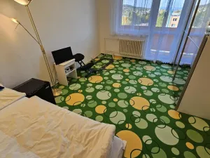 Prodej bytu 3+1, Boskovice, Slovákova, 73 m2